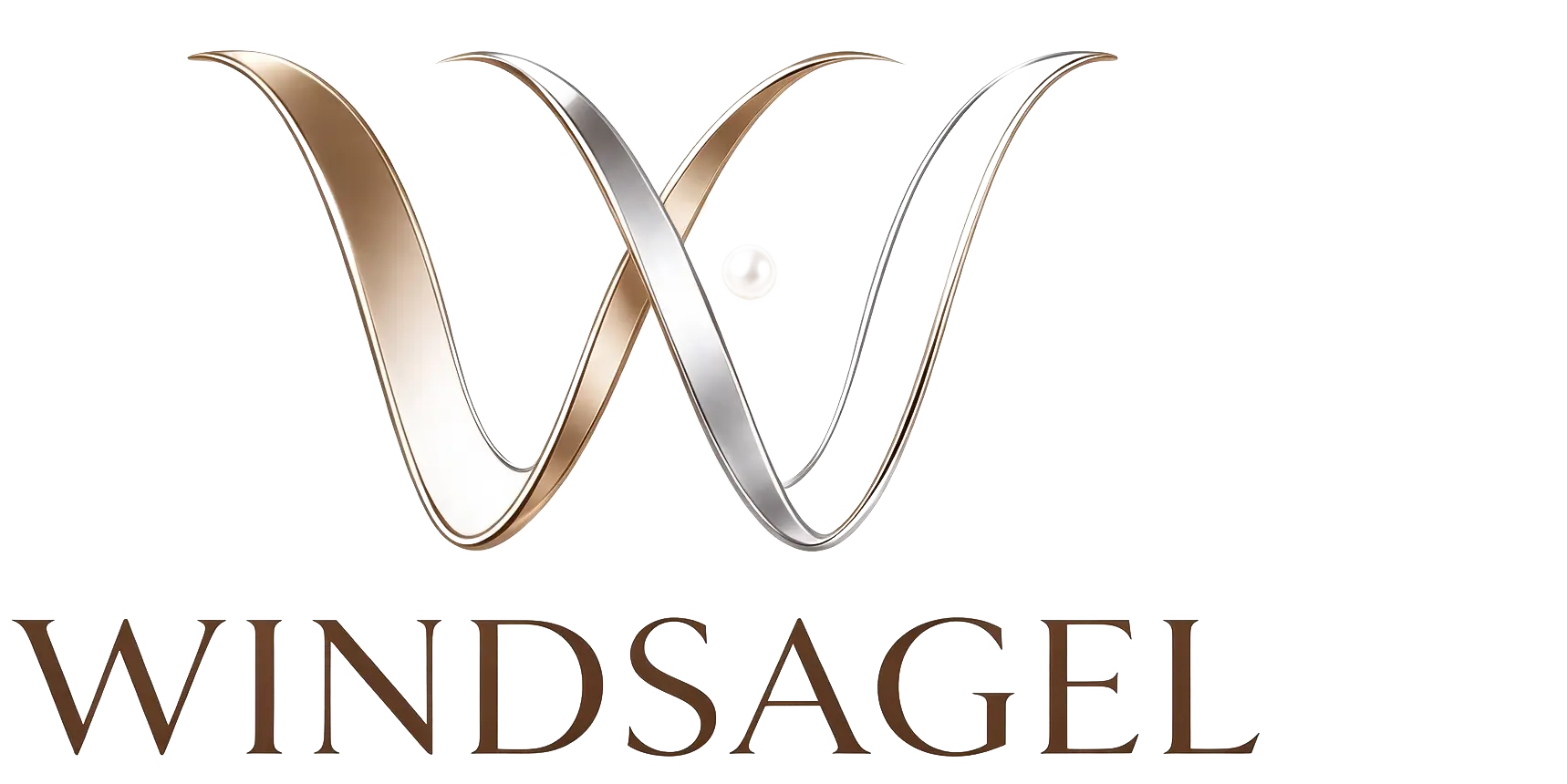 WINDSAGE LIMITED